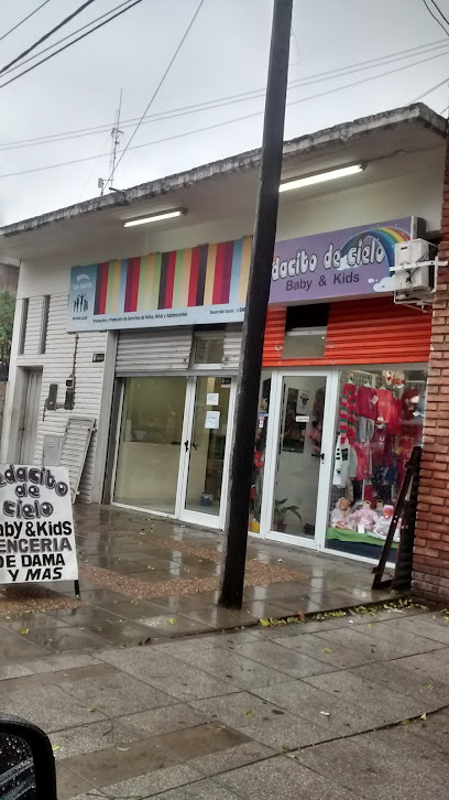 Servicio Local Billinghurst Protección de Derechos de Niños, Niñas y Adolescentes en Billinghurst