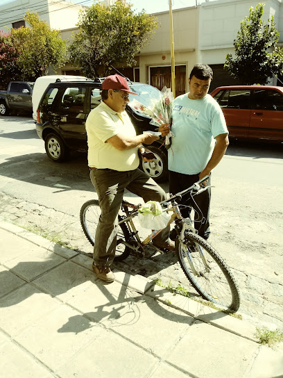 Echegoyen Leandro en Tres Arroyos