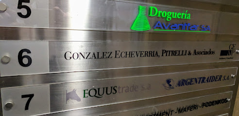 GONZALEZ ECHEVERRIA, PITRELLI & Asociados en CABA
