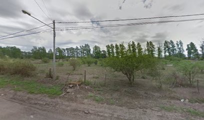 ROZ Asesoría Jurídica en Col. Caroya